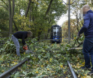 Pogoda: Wiatr powala drzewa i blokuje pociągi. Ofiary śmiertelne i ranni!