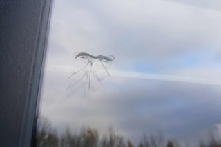 Ostrzelano przedszkole w Osielsku. Policja szuka sprawców. „Bałam się, co by było, gdyby dzieci były na placu zabaw” [GALERIA]