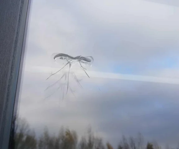 Przedszkole w Osielsku ostrzelane. Policja szuka sprawców