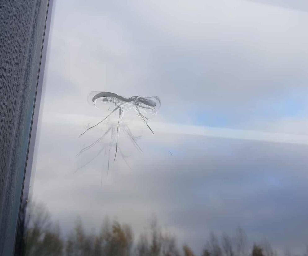 Ostrzelano przedszkole w Osielsku. Policja szuka sprawców. „Bałam się, co by było, gdyby dzieci były na placu zabaw” [GALERIA]