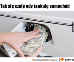 Ceny paliw to dramat! Zobacz najlepsze MEMY! Śmiech przez łzy