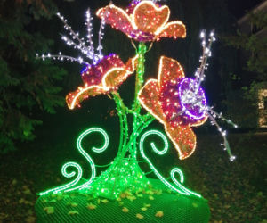 Park Iluminacji w Poznaniu