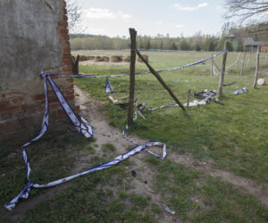 Konie i kozy terroryzują wioskę