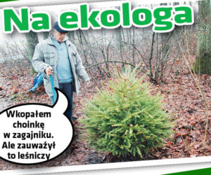 ak pozbyć  się choinki