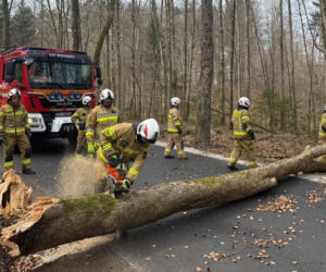 Zerwane dachy, powalone drzewa i prawie 11 tysięcy odbiorców bez prądu!