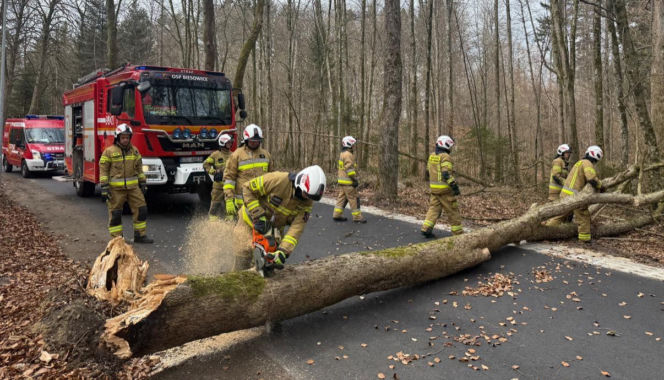 Zerwane dachy, powalone drzewa i prawie 11 tysięcy odbiorców bez prądu!