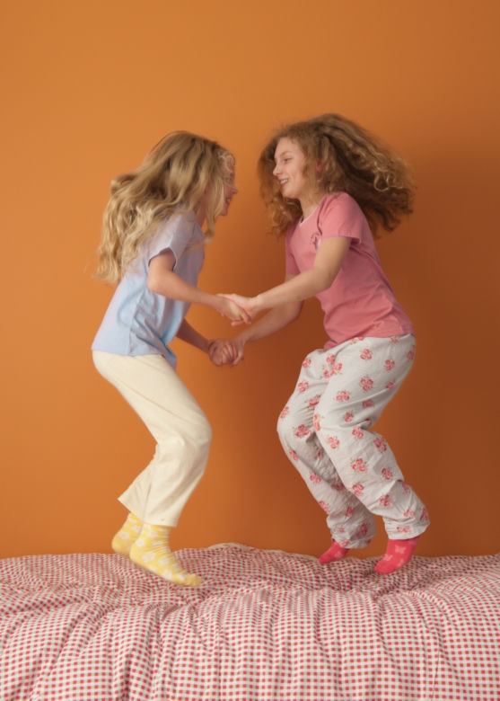 dulux family zone