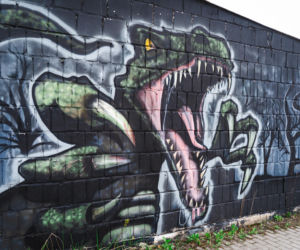 Przy ul. Mieszka I w Siedlcach można podziwiać całą galerię murali i graffiti