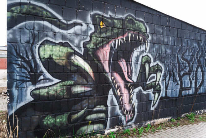 Przy ul. Mieszka I w Siedlcach można podziwiać całą galerię murali i graffiti