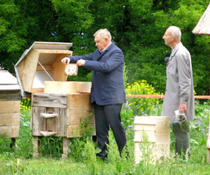 Białystok. Pierwsze miodobranie w pasiece miejskiej