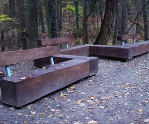 Teren wokół Wieży Quistorpa został uporządkowany