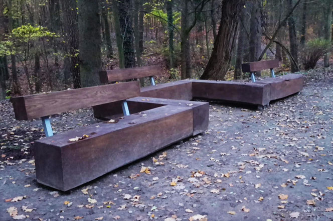 Teren wokół Wieży Quistorpa został uporządkowany