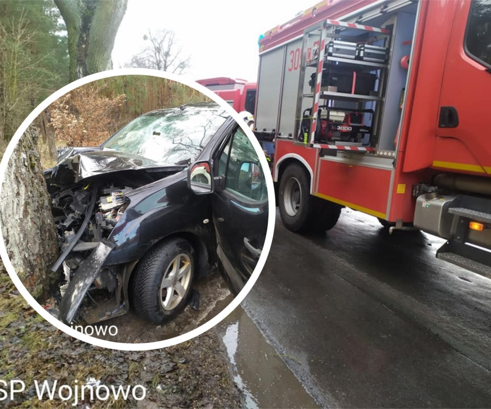 Dąbrówka Nowa. Samochód roztrzaskał się na drzewie! 2 osoby trafiły do szpitala