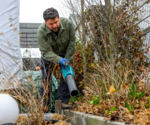 Wiosenne porządki w ogrodzie