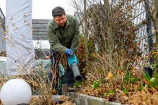 Wiosenne porządki w ogrodzie: jak przycinać trawy i ratować rośliny po zimie? Nowy materiał wideo Murator Ogroduje
