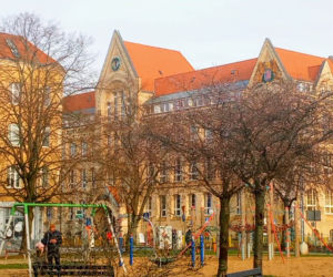 Uderzenie wiosny w Szczecinie. Nie tylko krokusy budzą się do zycia