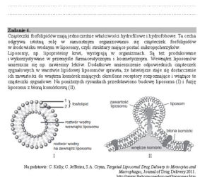 Matura biologia4