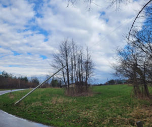 Interwencje Strażaków przy likwidacji szkód spowodowanych przez gwałtowny wiatr i burze