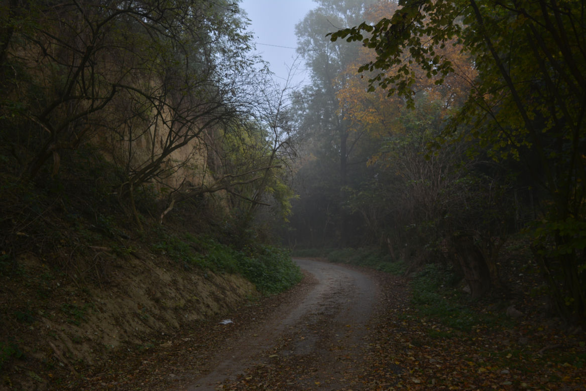 Opatowiec
