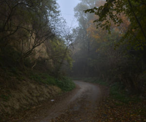 Opatowiec