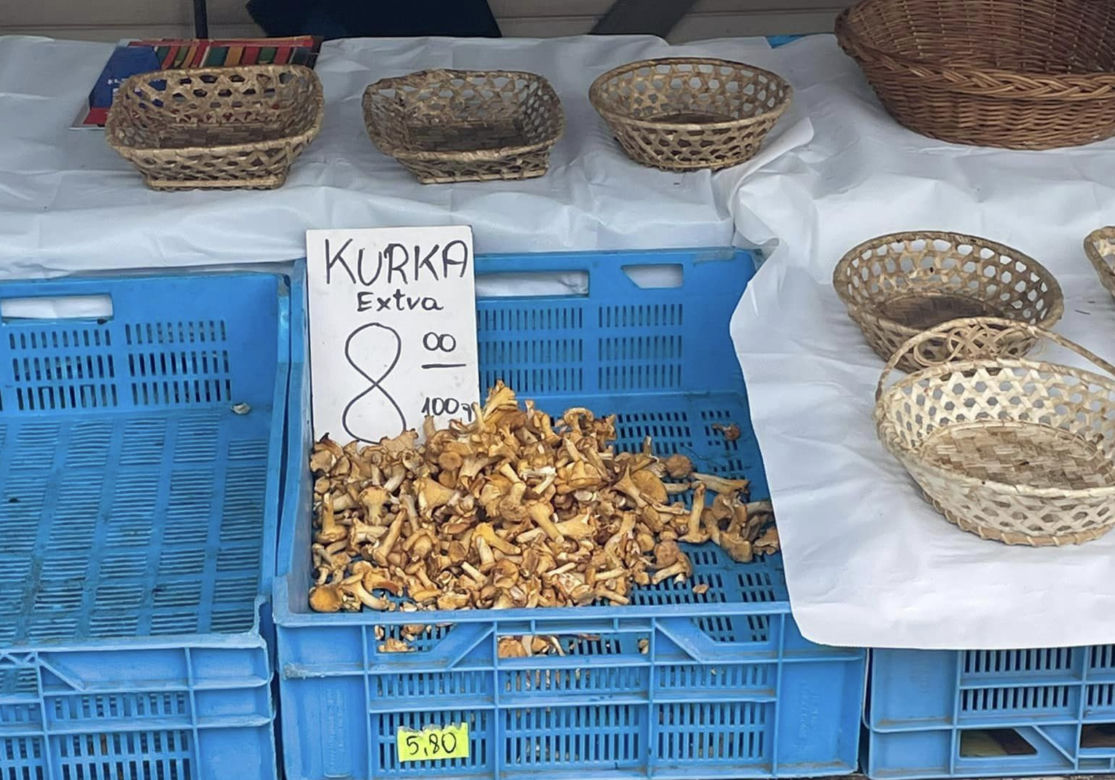 Kraków. Ceny Grzybów. Cena kurek na Placu Imbramowskim