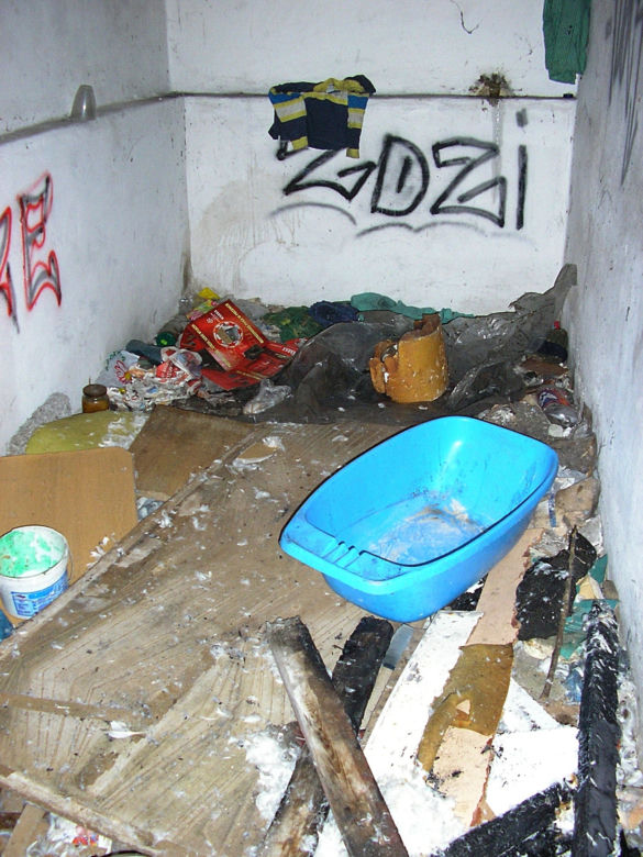 Potrącił psa, myślał, że zabił też sąsiada. Nie zniósł wyrzutów sumienia