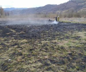 Maszkowice. MAKABRYCZNE skutki wypalania traw. Zwierzak zginął w strasznych męczarniach