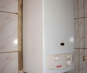 Zdjęcie 7350