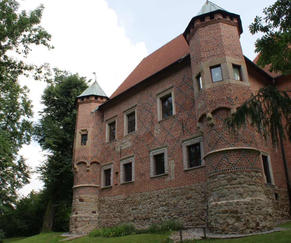 Zamek Dębno