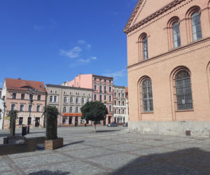 Zieleń w mieście