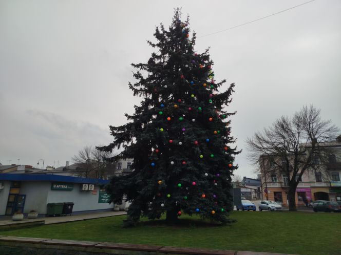 Choinka miejska Siedlce