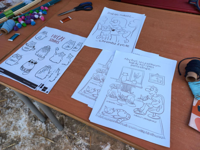 Mruczki w roli głównej. Dzień Kota w schronisku dla bezdomnych zwierząt w Henrykowie