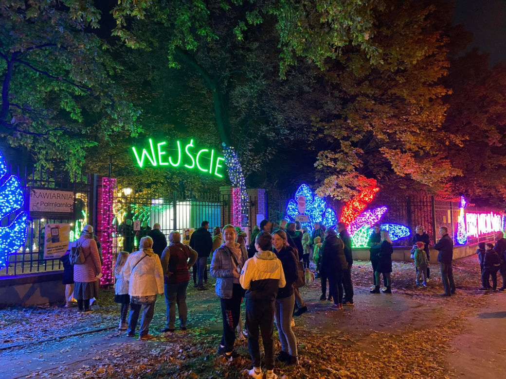 Park Miliona Świateł powraca! Zobacz, jak się prezentuje