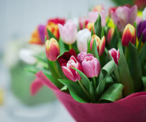 Bukiet z tulipanów