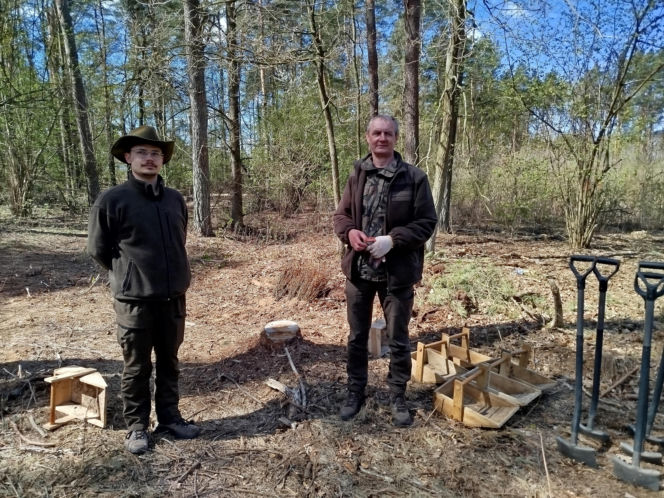 W Lesie Sekulskim rośnie już kilkaset nowych, młodych buków! Drzewa zasadzili członkowie siedleckiego samorządu i leśnicy