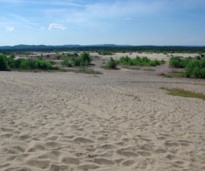 Dzikie zakątki woj. śląskiego