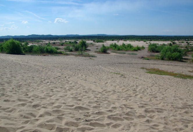 Dzikie zakątki woj. śląskiego