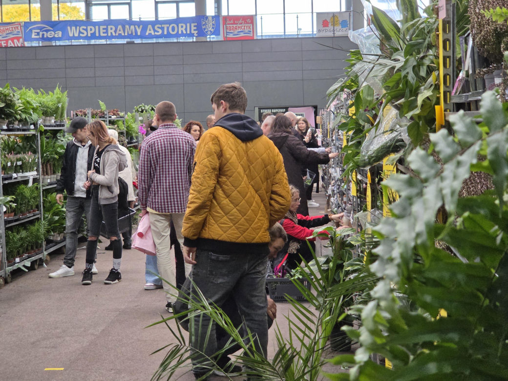 Festiwal Roślin znów zachwycił bydgoszczan! Setki gatunków i wyjątkowa atmosfera