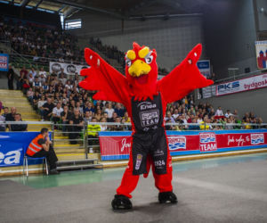 Enea Astoria Bydgoszcz - Anwil Włocławek [ZDJĘCIA Z MECZU]