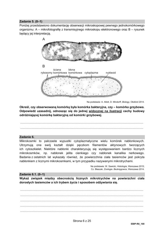 Matura 2021: Biologia. Arkusze CKE z biologii znajdziesz tutaj [Matura 12.05.2021]