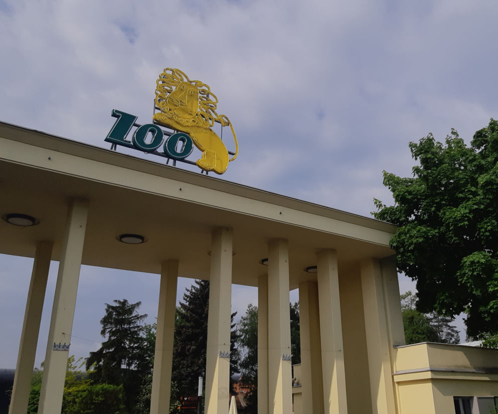 Zoo Wrocław