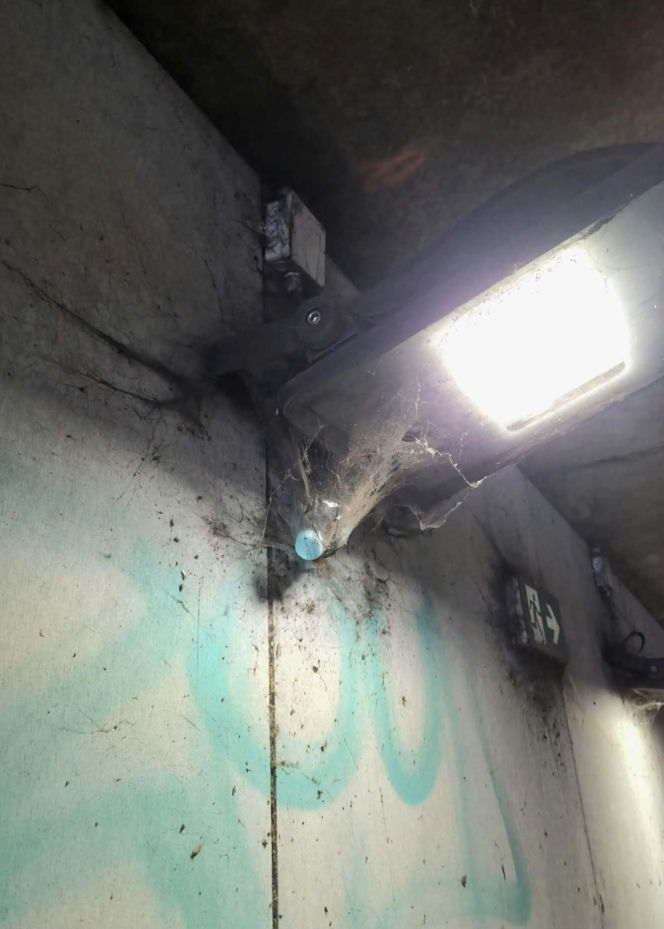 Bród i smród w tunelu pod torami w Siedlcach