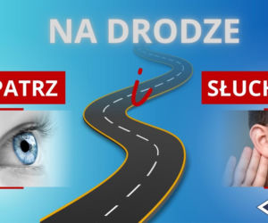 Telefon za kierownicą pod lupą. Trwa marcowa akcja Policji „Patrz i Słuchaj”