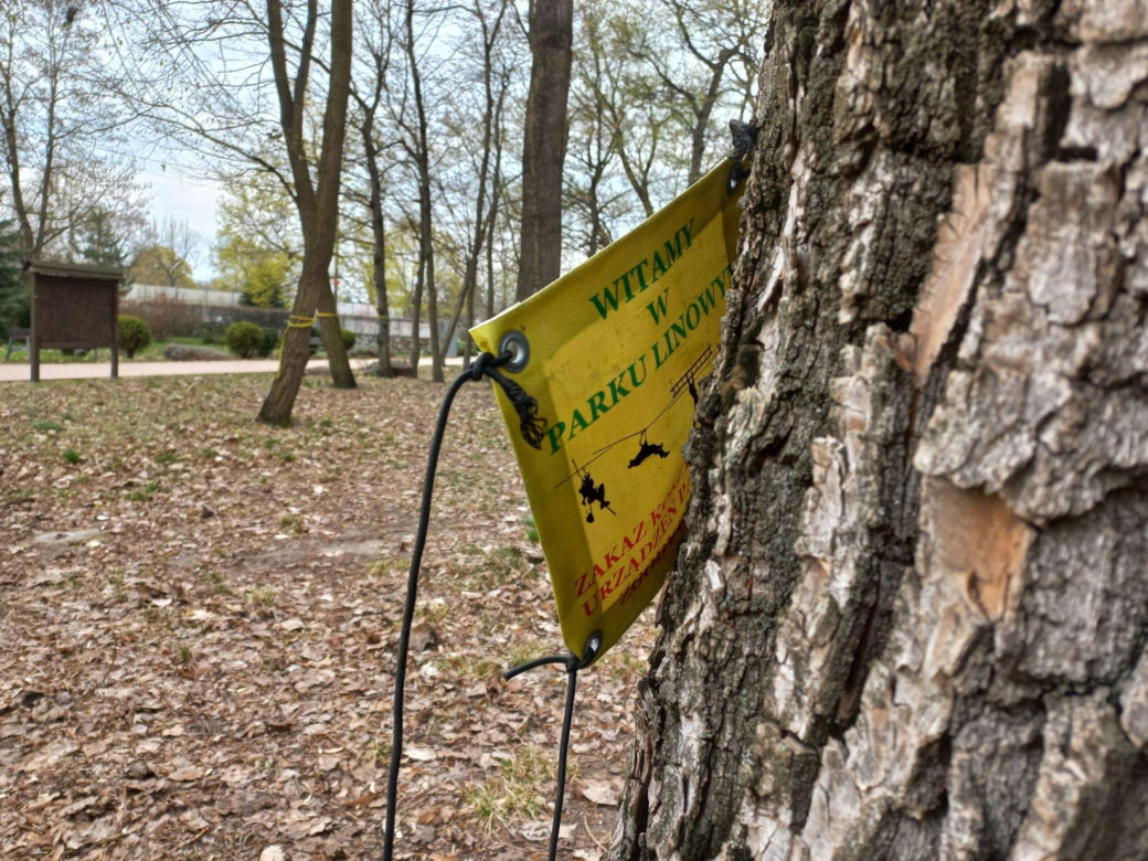 Rozbiórka Parku Linowego Tarzan w Parku Tysiąclecia w Lesznie