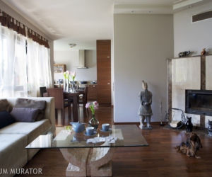 salon z kuchnią zdjęcia wnętrz