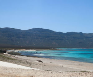 Polscy turyści utknęli na Sokotrze. MSZ przekazało nowe informacje