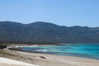 Polscy turyści utknęli na Sokotrze. MSZ przekazało nowe informacje