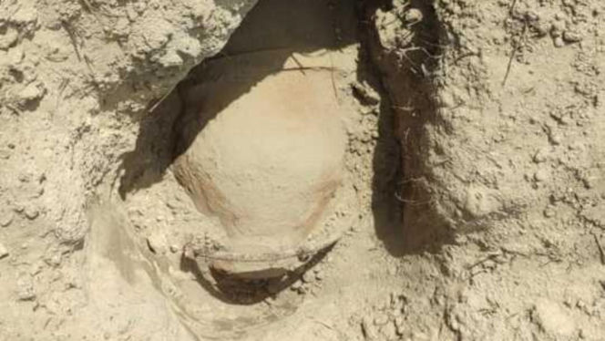 Potężna bomba lotnicza znaleziona w polach