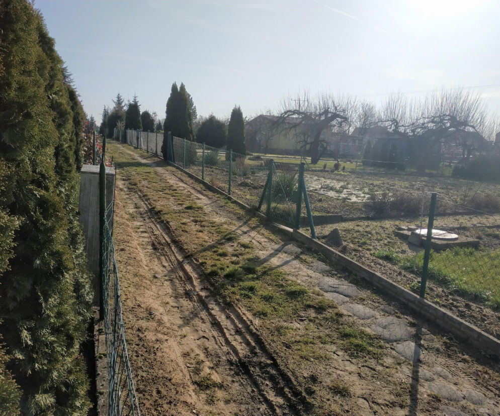 Pieniądze na leszczyńskie ogrody działkowe. Miasto dorzuci do inwestycji nawet 70%