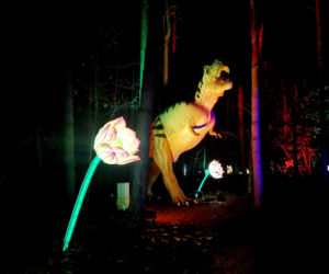 Lumina Park Bydgoszcz